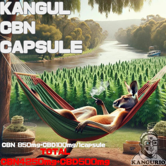 KANGUL CBN CAPSULE CBN4250mg CBD 500mg